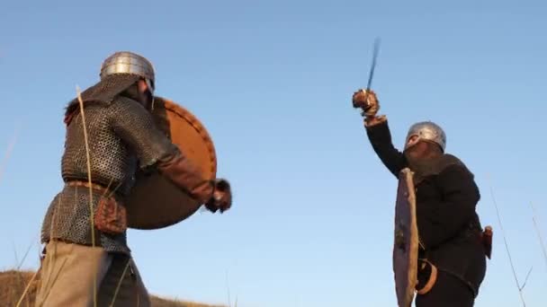 Dva válečníci Viking jsou boj s meči, s víčky, štíty na louce.