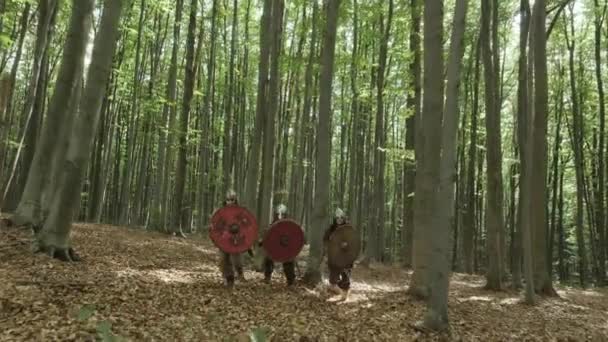 Guerreros de Vikingos están luchando durante el ataque  . — Vídeos de Stock