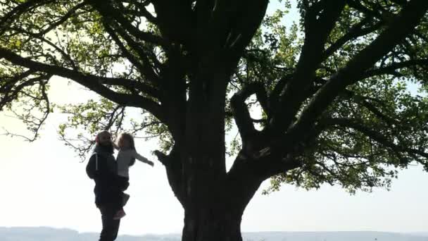 Padre tiene per mano sua figlia e parla vicino a un grande albero . — Video Stock