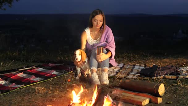 Yong γυναίκα και beagle σκύλο καθίσει δίπλα ένα campfire ρολόι στην πυρά προσκόπων. — Αρχείο Βίντεο