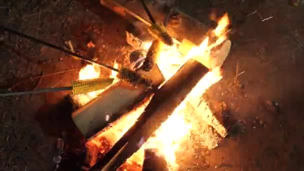 Jóvenes amigos fríe maíz en un palo de madera en el fuego del campamento — Vídeo de stock