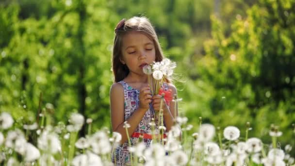 Retrato de una niña en el jardín con dientes de león. Movimiento lento . — Vídeos de Stock