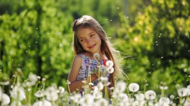 Retrato de uma menina no jardim com dentes-de-leão. Movimento lento . — Vídeo de Stock