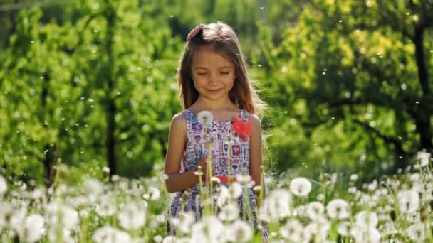 タンポポと庭で女の子の肖像画。スローモーション. — ストック動画