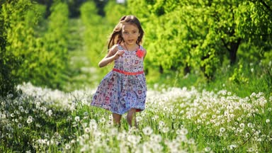 Bir kız güneşli bir günde dandelions bahçeli ile çalışır. Ağır çekim.