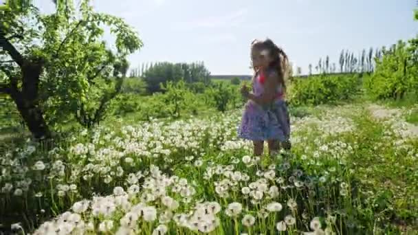 Uma menina corre pelo jardim com dentes-de-leão em um dia ensolarado. Movimento lento . — Vídeo de Stock