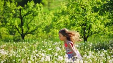 Güneşli bir günde bir kız dandelions bahçeli ile çalışır