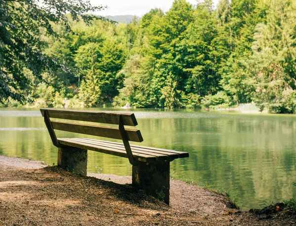 Bänk och reflekterade träd nära en sjö — Stockfoto