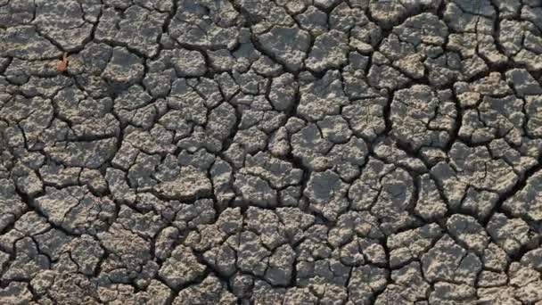 Ekologická katastrofa, těžba suché půdy — Stock video