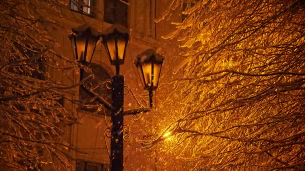 Sokak lambasının ışığında inanılmaz bir kar yağışı. — Stok video
