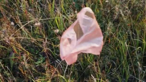 Un sac en plastique accroché à un buisson. Catastrophe écologique — Video