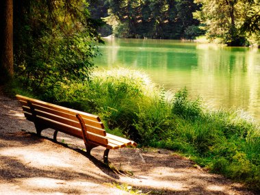 Pitoresk dağ gölü yakınında Bench