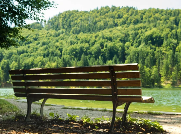 Bänk och reflekterade träd nära en sjö — Stockfoto