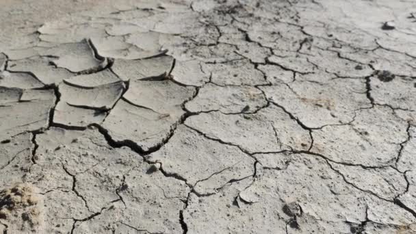 Desastre ecológico, dibujo de tierra seca — Vídeos de Stock