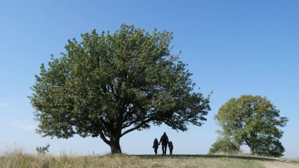 Vater und zwei Tochter gehen auf der Wiese spazieren. — Stockvideo