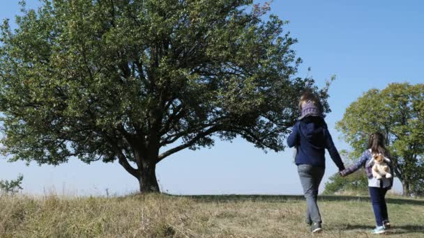 Vater und zwei Tochter gehen auf der Wiese spazieren. Rückseite. — Stockvideo