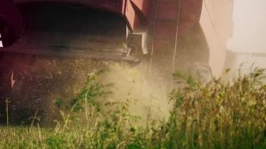 Tarladaki hasatları birleştir