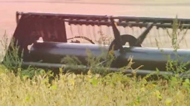 Tarladaki hasatları birleştir