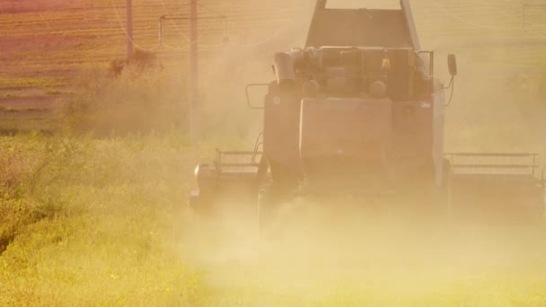 Combine harvests from the field — Stock Video