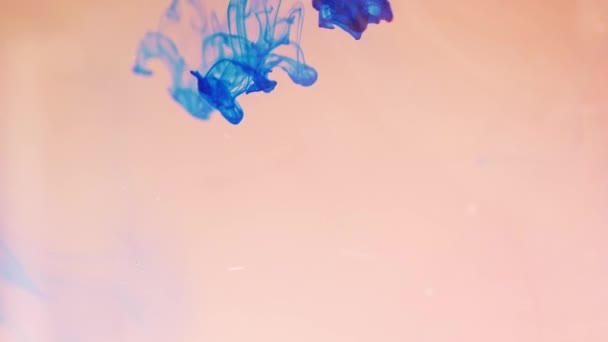 Des gouttes colorées de peinture arc-en-ciel du fond se mélangent dans l'eau. Gros plan .