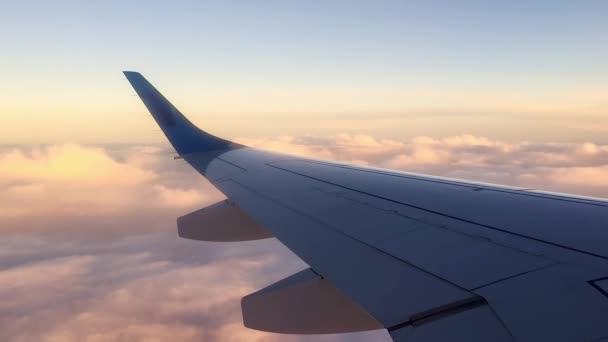 Vol en avion. Aile d'un avion volant au-dessus des nuages avec le ciel couchant. Vue de la fenêtre de l'avion. Avion, voyageant par avion. Survoler un ciel et des nuages magnifiques . — Video