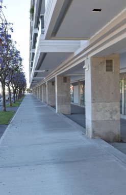 Porto Madero kaldırımında menekşe çiçekli jakaranda, Buenos Aires, Arjantin .