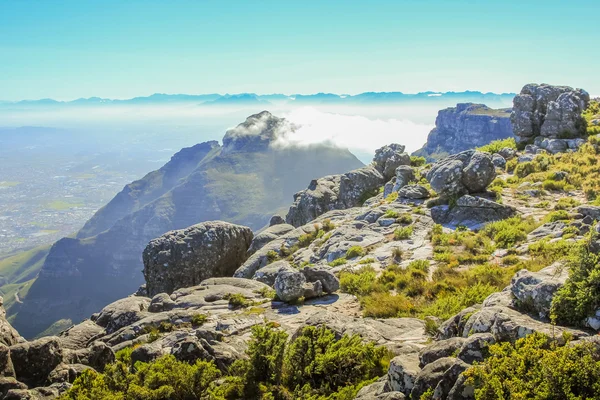 Table Mountain National Park — Stock Photo, Image