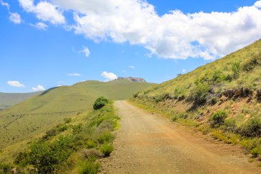 dağ zebra Milli Parkı