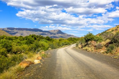 Karoo National Park Güney Afrika