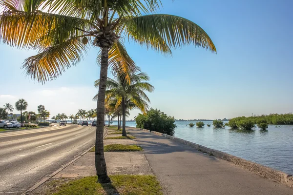 Roosevelt Blvd Key West — Stockfoto