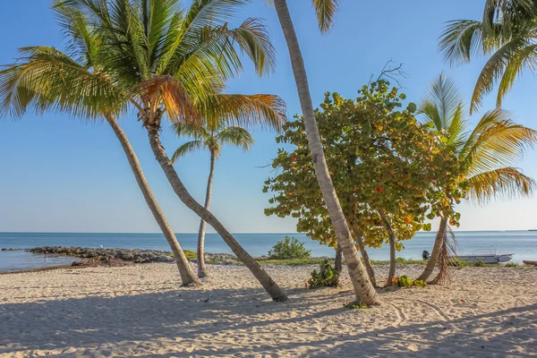 Playa de descanso en Key West — Foto de Stock