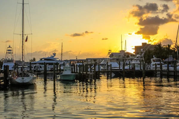 Célébration du coucher du soleil Key West — Photo