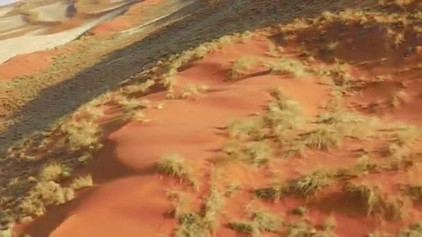 Aerial view desert — Stock Video