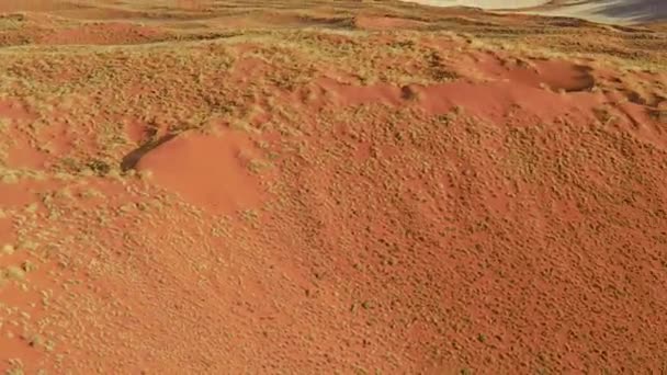 Volo delle dune della Namibia — Video Stock