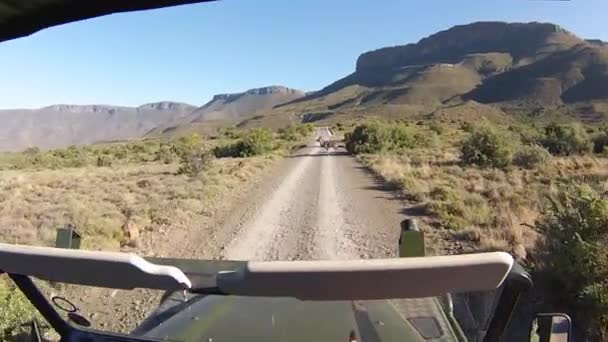 Karoo nationalpark — Stockvideo