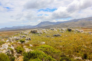 tabel berg Zuid-Afrika