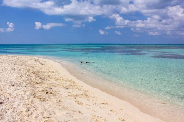 Snorkel en Tortugas Secas — Foto de Stock