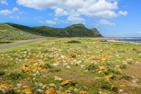 Weg naar Cape Point — Stockfoto