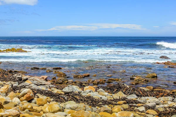 Cape of Good Hope West shore — Stock Photo, Image