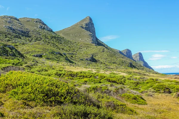 Table Mountain National Park — Stock Photo, Image