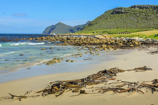 Península do Cabo lado oriental — Fotografia de Stock