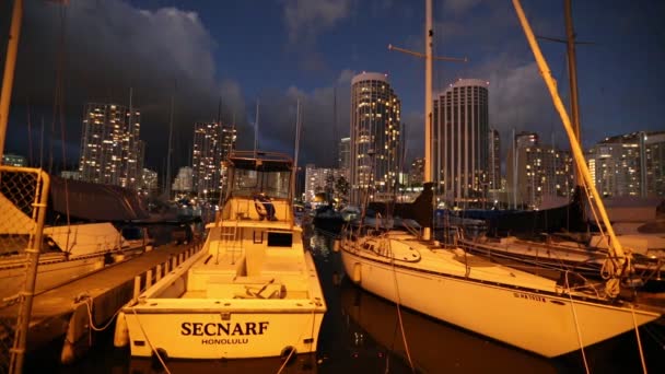 Honolulu Harbor natt — Stockvideo