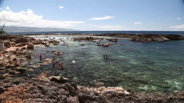 Pupukea squali Cove — Video Stock