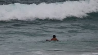 Hawaii boogie yatılı