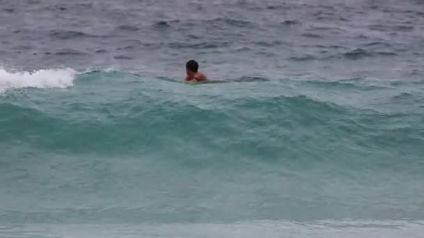 Beach surf Makapuu — Stock video