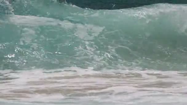 Onde dell'oceano Makapuu — Video Stock