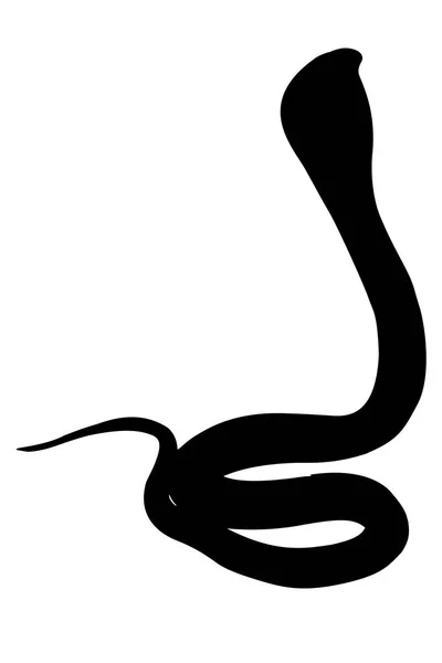 Czarne sylwetki Cobra — Zdjęcie stockowe