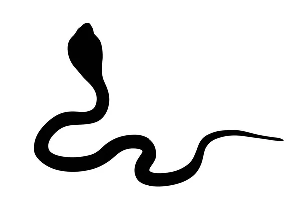 Ilustrace Kobra, samostatný — Stock fotografie