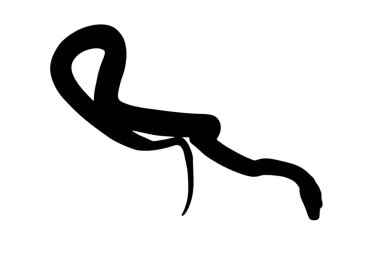 Retiküle Python illüstrasyon