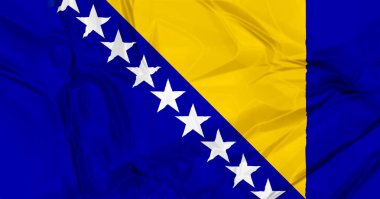 Bosna bayrağı